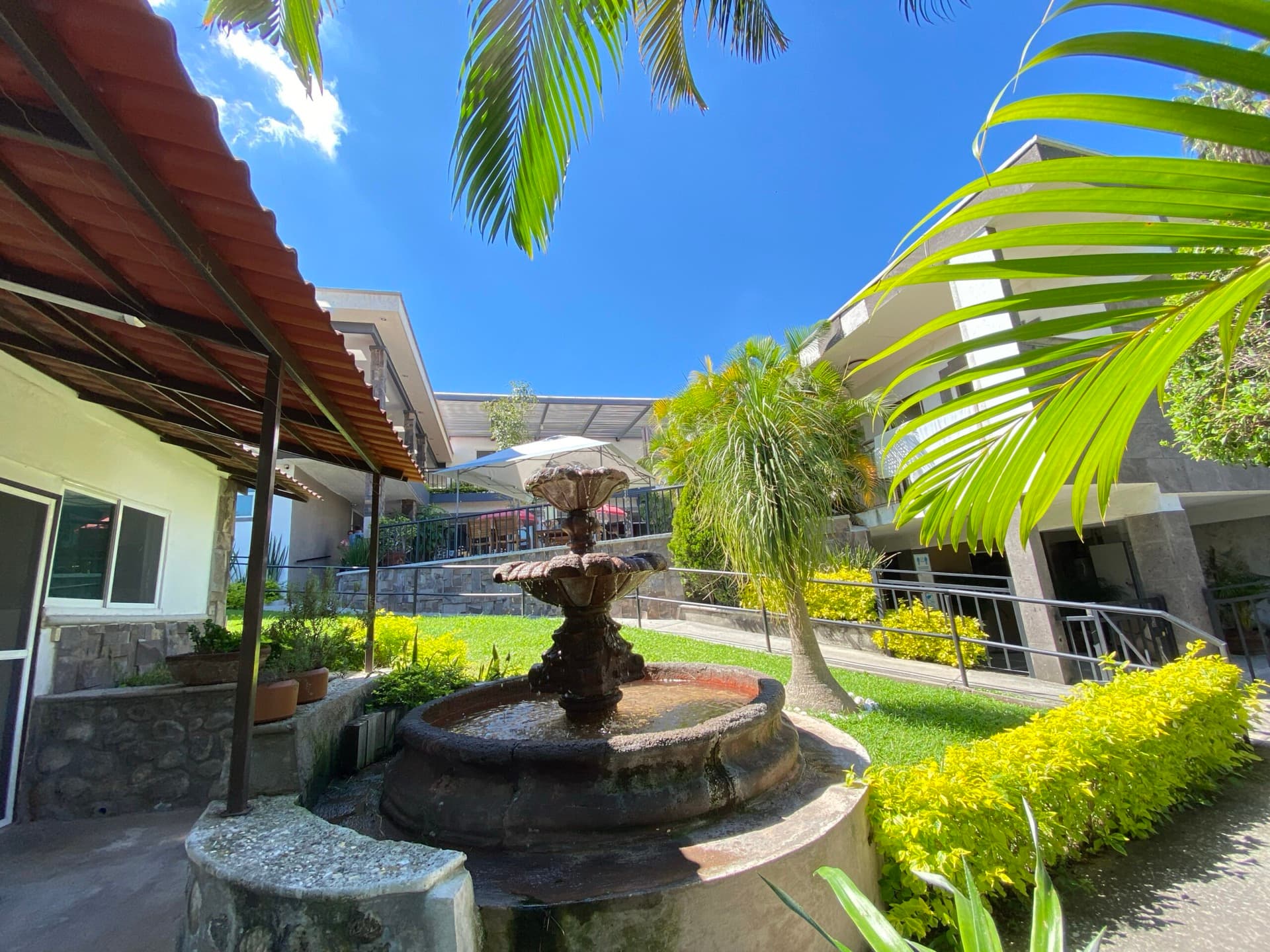 Stone fountain in the garden