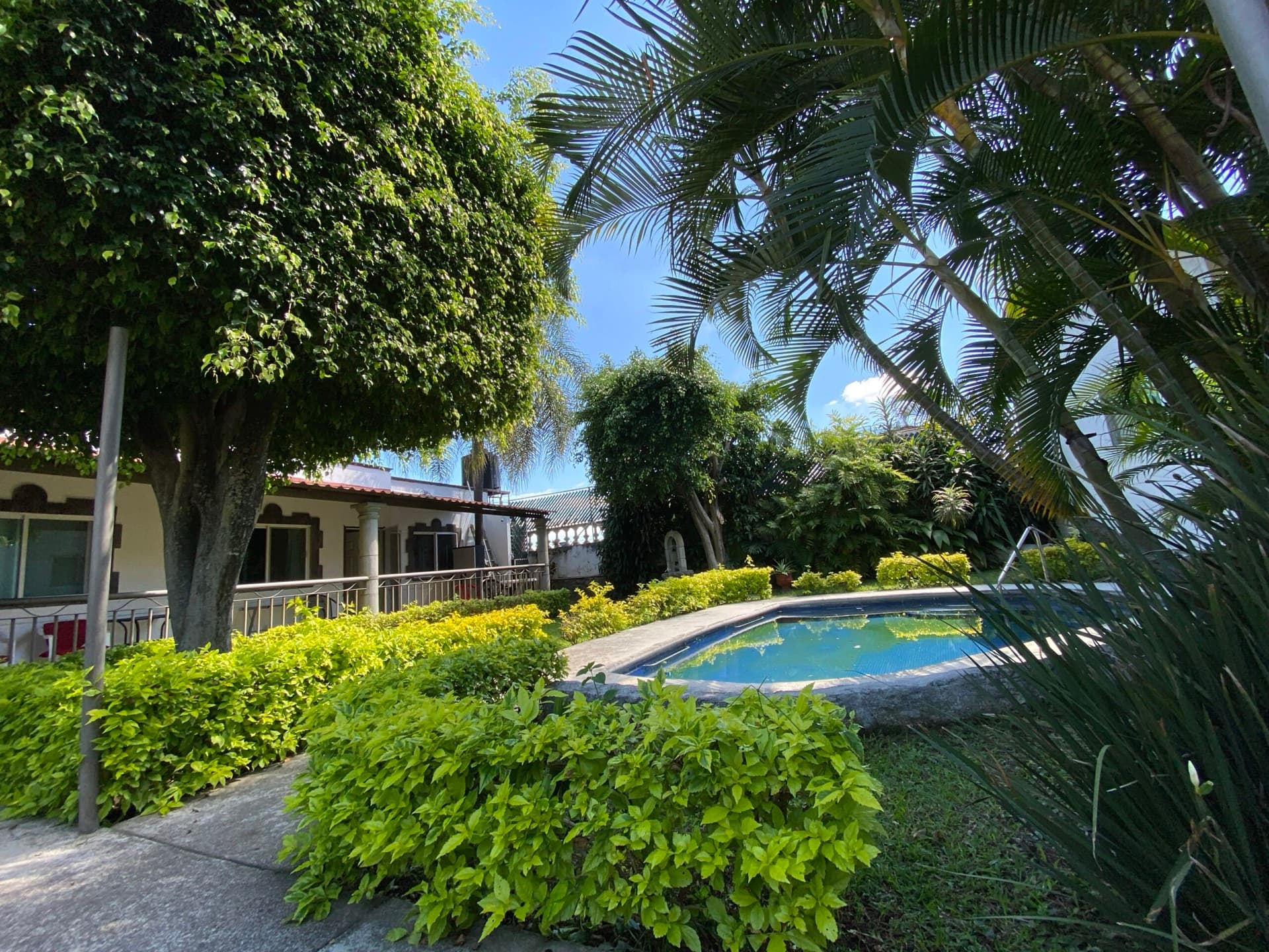 Pool surrounded by garden
