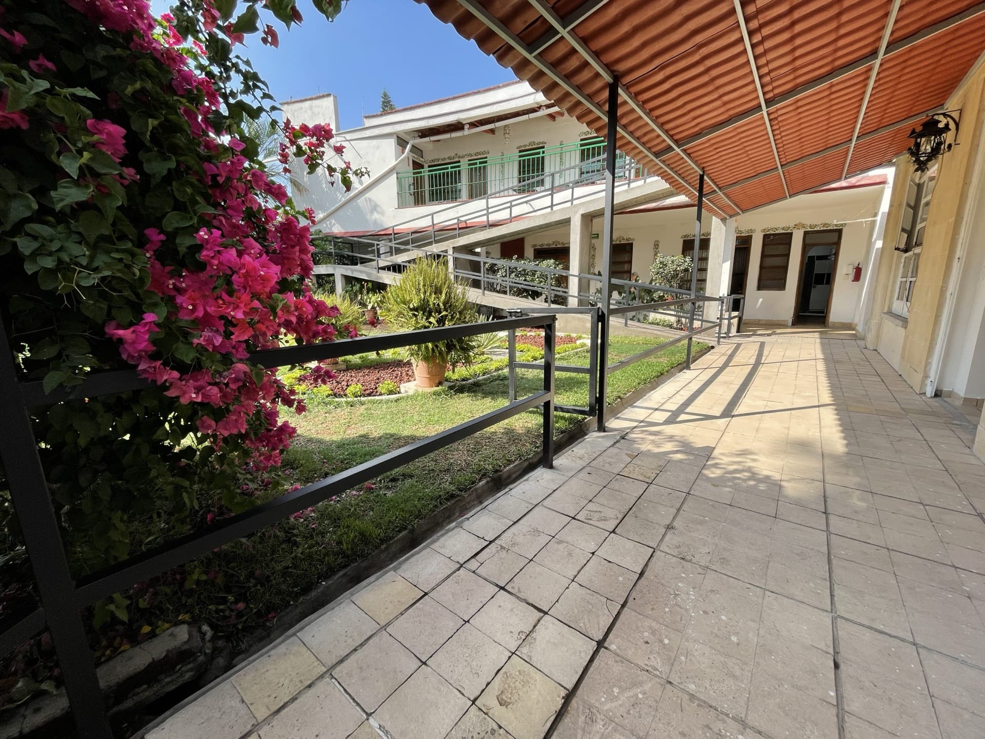 Walkway surrounded by bougainvillea