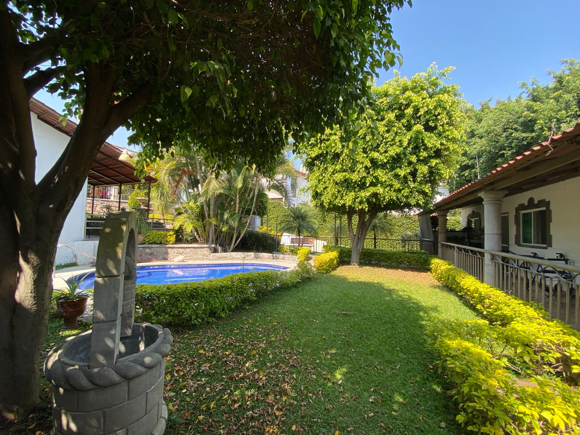 Garden with pool and trees