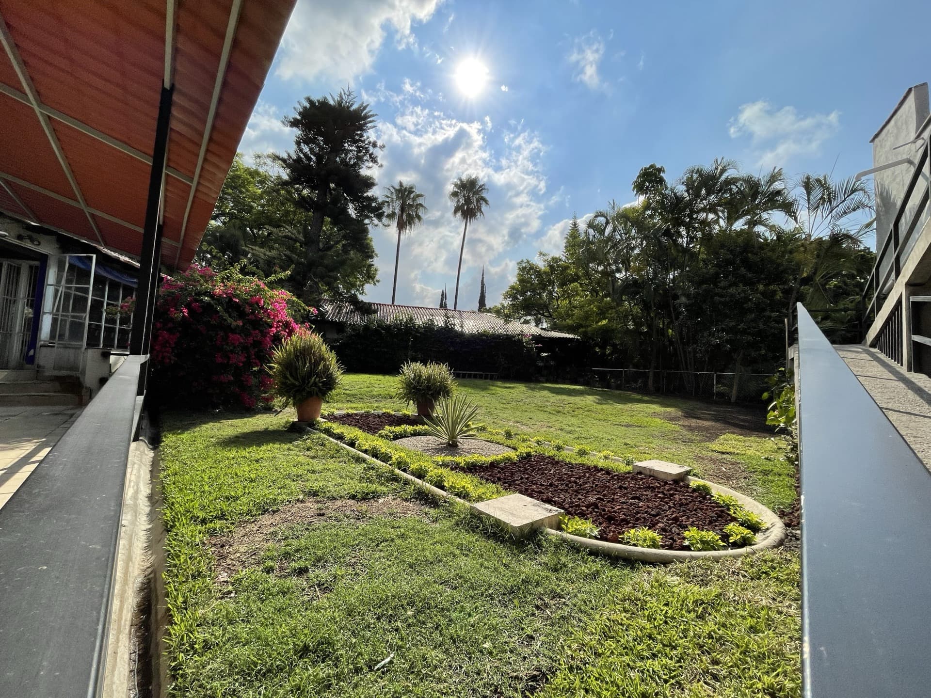 Garden with palm trees and plenty of light