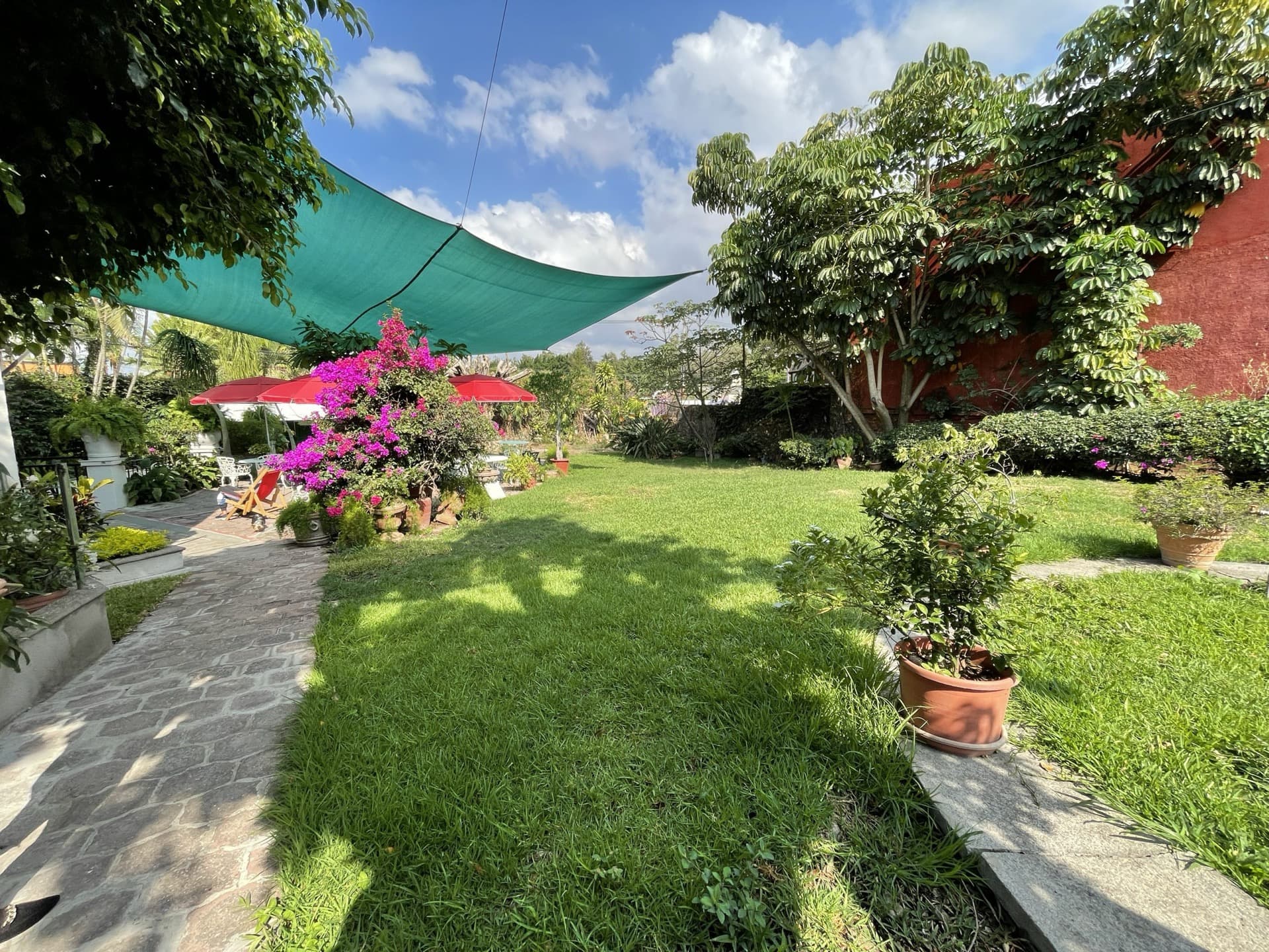 Garden with shaded areas and bougainvillea