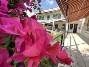 Casa Palmira Residencia Geriatrica en Cuernavaca